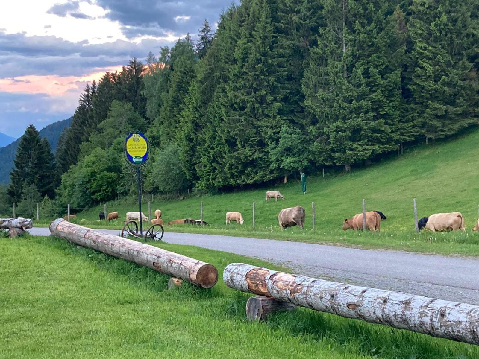 Landgasthof Marhube Baldramsdorf Zewnętrze zdjęcie